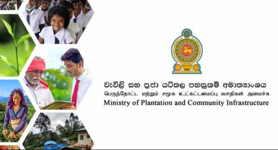 Plantation Workers To Receive Rs. 4.5 Billion